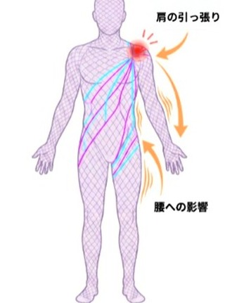 その不調、原因は “別の場所”にあるかも🤔